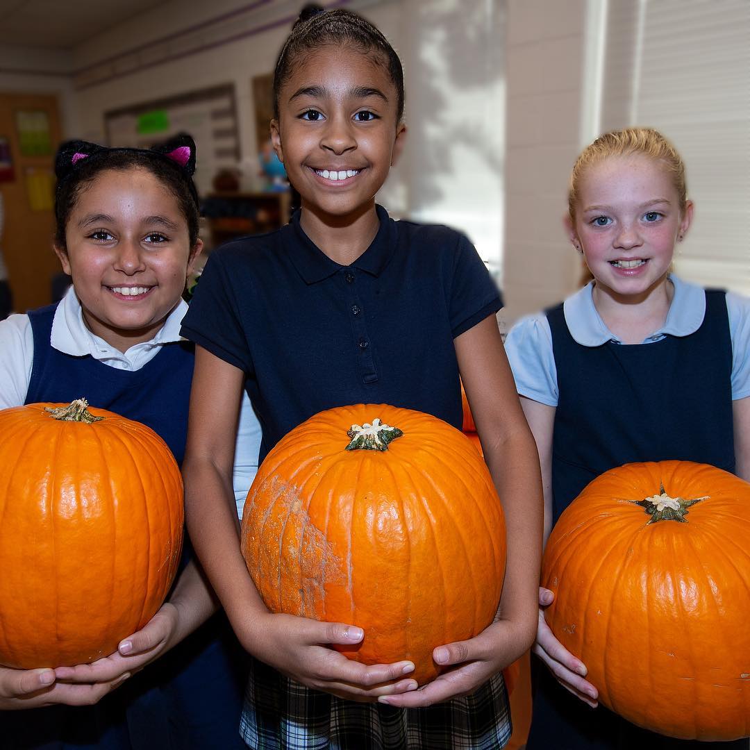 Fourth grade students examined the humble pumpkin during class time Wednesday as they weighed, measured and cleaned out the seeds and pulp of the seasonal favorite